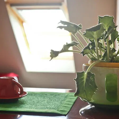 Milky Way Apartament Belgrad